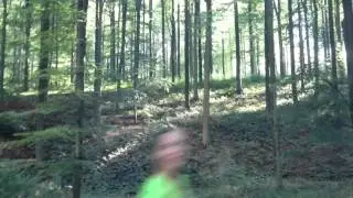 Run Bike Run Brussel