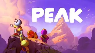 Finally Made it to the Peak!