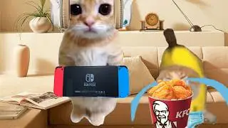 BANANA CAT 🍌🐱 BABY BAD LUCK 😿 VIDEOS 64 ( 4 MINUTES )