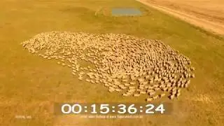 Stock Video Aerial Footage of Rural and Agriculture Australia