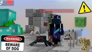 The Worst Pet Owner in all of Hypixel Skywars
