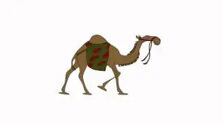 Camel Walk