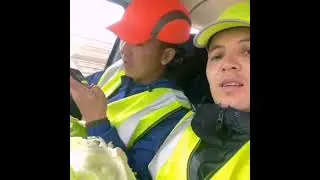 Один день с работы на ферме в Англии