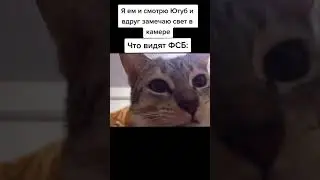 Что видят ФСБ😂😂😂