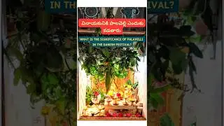 వినాయకునికి పాలవెల్లి ఎందుకు కడతారు ? | Why Palavelli for Ganesh Festival?