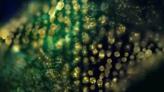Papa Bear feat Jan Van Der Toorn - Cherish The Love