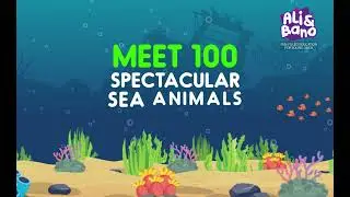 100 Sea Animals - Learn Sea animals names | Blippi | Peppa Pig | Meekah