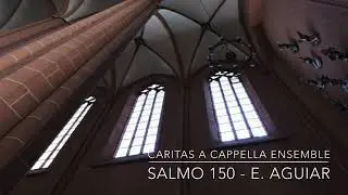 Salmo 150 - Ernani Aguiar