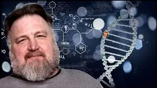 Гены, аллели. Племенные пасеки.