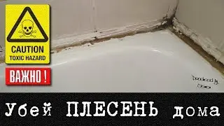 Как избавиться от плесени и грибка. Как вывести грибок. Чёрный грибок в доме. Информация о плесени!