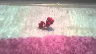 Зелье скорости (не судите строго)