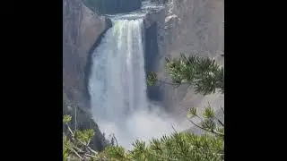 Yellowstone