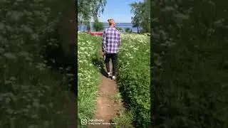 прогулка и дрессировка хаски Ингрид