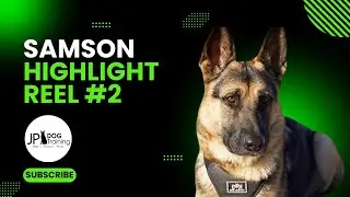 Samson highlight reel #2.
