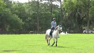 Karla Verhan Trustin 2