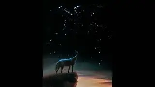 Карлос Кастанеда - Путь воина, ч. 2