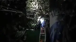 HEBOH!!! Penangkapan Ular di Wonogiri. Yang Nangkep Sampe "Terjungkal" 😂😂
