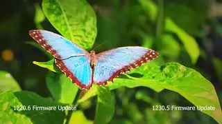 1230.5 v 1220.6 Firmware Update Review  -  Samsung KS7000, KS8000, KS9000, MU Series TV