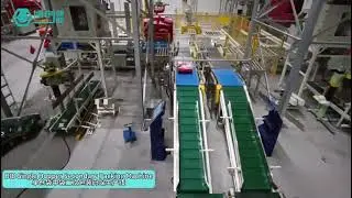 Single hopper BIB secondary packing machine | corn seed 2kg*20 bags