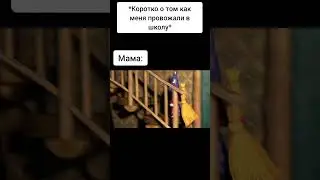 Мем смешное видео 🤣🤣 shorts #shorts