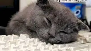 Look and smile (Позитивчик).wmv.mp4