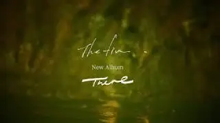 The fin. - There (Album Teaser)