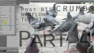 CRUMBS Post BTS & Tutorial - part 3 - Assembly cut from Paper Edit