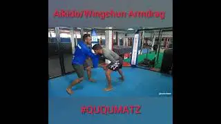Technique of the week: Aikido Wingchun Armdrag