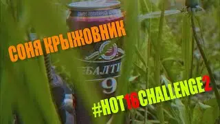 Соня Крыжовник #HOT16CHALLENGE2