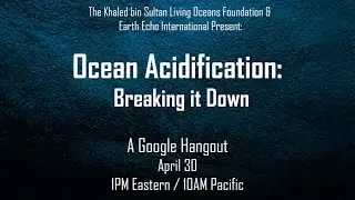 Ocean Acidification: Breaking it Down