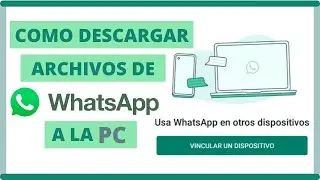 Download WhatsApp files to your PC (Computer)