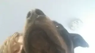 Собакин