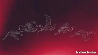 SOUTH SUMMIT - INTERLUDE (Official Visualiser)