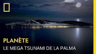 La Palma pourrait être le théâtre d'un mega tsunami avec une vague de 900 mètres de haut