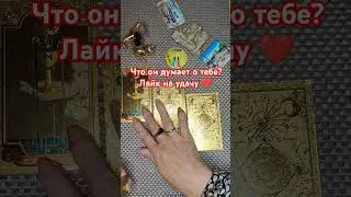 Ссылка на телегу в комментах. Заявки на расклады пишите на мой +79028211577