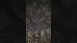 комната для релакса в бане. #баня#релакс#идущийбанщик