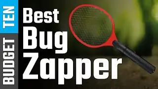 Top 10 Best Bug Zapper Review in 2021 - 2022