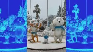 Зима в Сочи