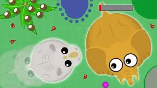 MOPE.IO LEGENDARY RARE WHITE RHINO TROLLING! 99.9% Impossible Animal...