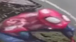 spoderman in (Content Aware Scale)