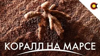 Мётлы Рогозина, Starlink в Украине, OneWeb и Россия - всё: 