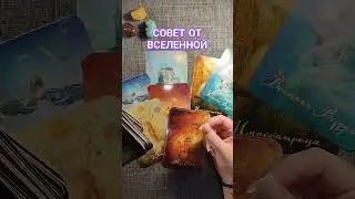 СОВЕТ ОТ ВСЕЛЕННОЙ 