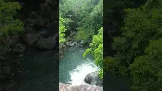 crystal creek 3223