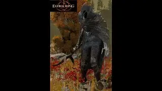 Elden Ring - Black Knife Assasin (Parry/no hit)