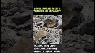 Segel Rubah Ekor 9 Terbuka di Jepang! 