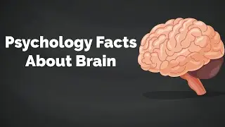 Mind blowing facts about the Human Brain | Psychology Facts About Brain