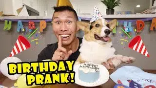 Pranking My Corgi Into Thinking It's His Birthday || Life After College: Ep. 653