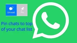 WhatsApp's new feature | Pin chats to top of your chat list