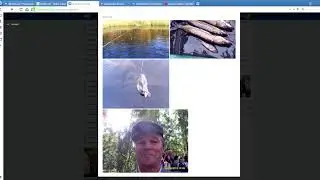 Победитель за 26.08.2019 - Конкурс №762, 300 руб (Бесплатные деньги)