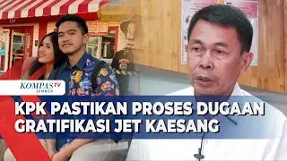 Apa Langkah KPK dalam Proses Dugaan Gratifikasi Jet Pribadi Kaesang Pangarep?